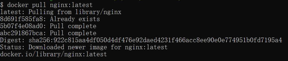 Docker 安装 Nginx