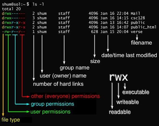 Linux 文件基本属性